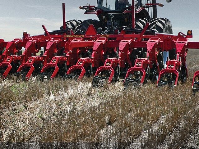 Sunflower Strip-Till Tools