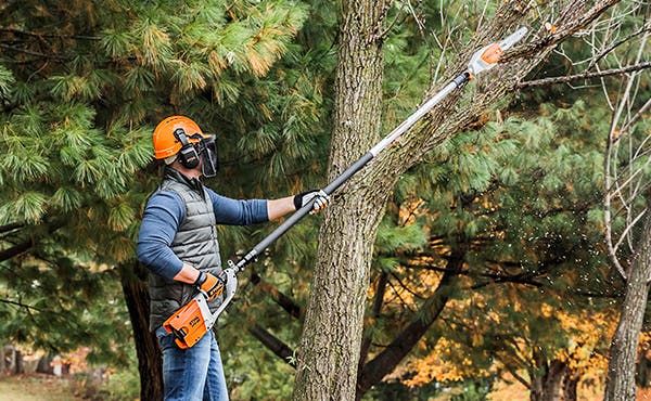 STIHL Pole Pruners